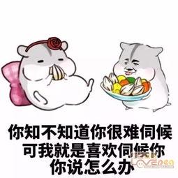单身是怎么解决 搞笑