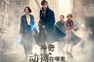 神奇动物在哪里背景,揭秘神奇动物在哪里背后的奇幻奥秘