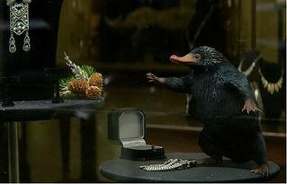 神奇动物在哪里背景,揭秘神奇动物在哪里背后的奇幻奥秘  第3张