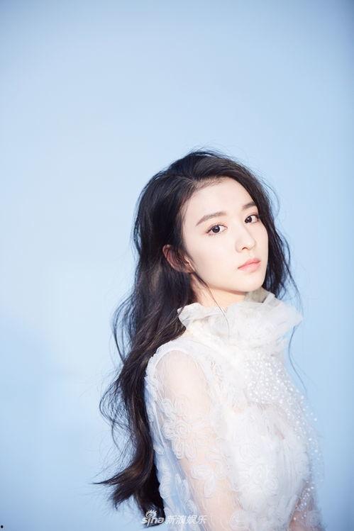 娱乐圈资料,明星们的辉煌与挑战