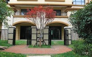 莱西明星国际顶账房,揭秘高端房产投资新热点  第2张