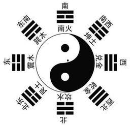 八卦群夫,揭秘网络社交背后的情感纠葛