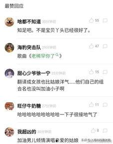 搞笑歌词翻译,笑料百出！搞笑歌词背后的趣味故事  第3张