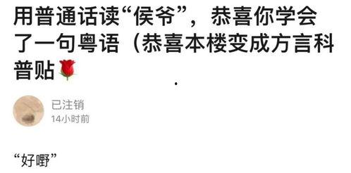 听不懂系列 搞笑,笑翻你的日常对话奇遇记 第3张 听不懂系列 搞笑,笑翻你的日常对话奇遇记 第3张