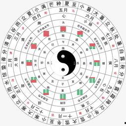 肚子八卦图,探寻人体健康与运势的神秘联系