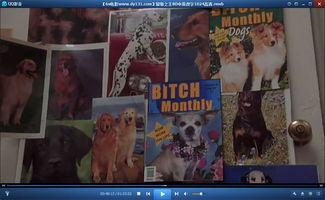 美国搞笑校园电影,美国搞笑校园电影大盘点 第3张 美国搞笑校园电影,美国搞笑校园电影大盘点 第3张