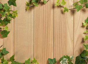 炯植家庭背景,崛起于风云变幻的商界传奇  第3张