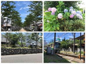 娱乐道photo,捕捉光影中的明星瞬间  第2张